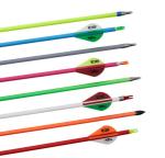 Easton Vector .165"(4.2mm) spine 600/800/1000/1200 Youth/Beginner/Starter Arrows