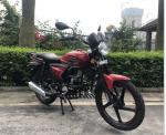 New designed 50CC/70CC/90CC/110CC street bike Azerbaijan Popular Alpha Moto 50cc