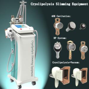 Wholesale Multifunction Fat Freeze Cryolipolysis Body Slimming Machine for fat reduction from china suppliers