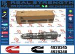 Fuel Injector 4928349 4928345 4928346 4928347 For QSK Engine