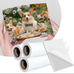 Wholesale 108gsm Pigment Dye Inkjet Label Matte Self Adhesive Sticker Paper from china suppliers
