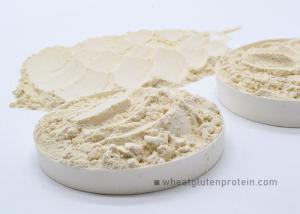 Wholesale Dried Vital Wheat Gluten In Bread Processing , 85% Content of Protein from china suppliers
