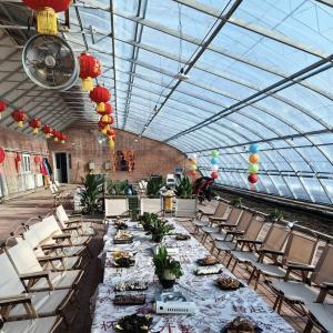 Wholesale Shipping Cost and Estimated Delivery Time for Commercial Hydroponic Seeding Greenhouse from china suppliers