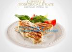 Online Shopping 10 Inch Biodegradable Disposable Sugarcane Bagasse Party Plate