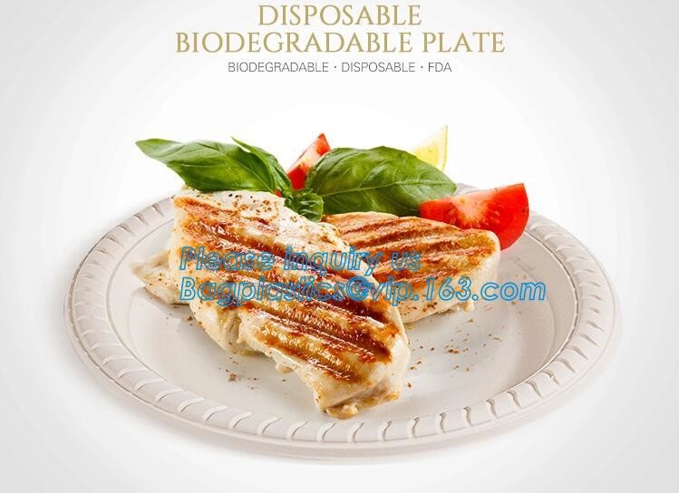 Premium Meal Prep Containers 3 Compartment BPA-FREE Food storage Microwavable Dishwasher Safe plastic Lunch bento box