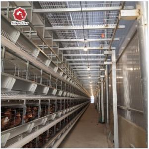 Wholesale H Type Battery Chicken Farming Cage Chicken Farming Cage Automatic from china suppliers