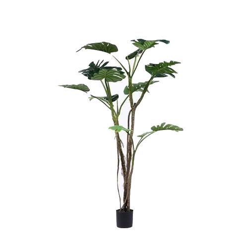 Contemporary Artificial House Plants Deliciosa , Artificial Plant DéCor