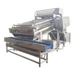 Fully Automatic Shrimp Cleaning and Peeling Machine with 304 Stainless Steel