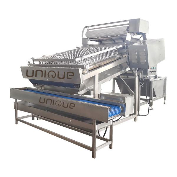 Fully Automatic Shrimp Cleaning and Peeling Machine with 304 Stainless Steel