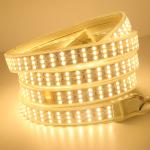 SMD 2835 Led Flexible Strip Lights , AC220V Led Waterproof Strip Lights