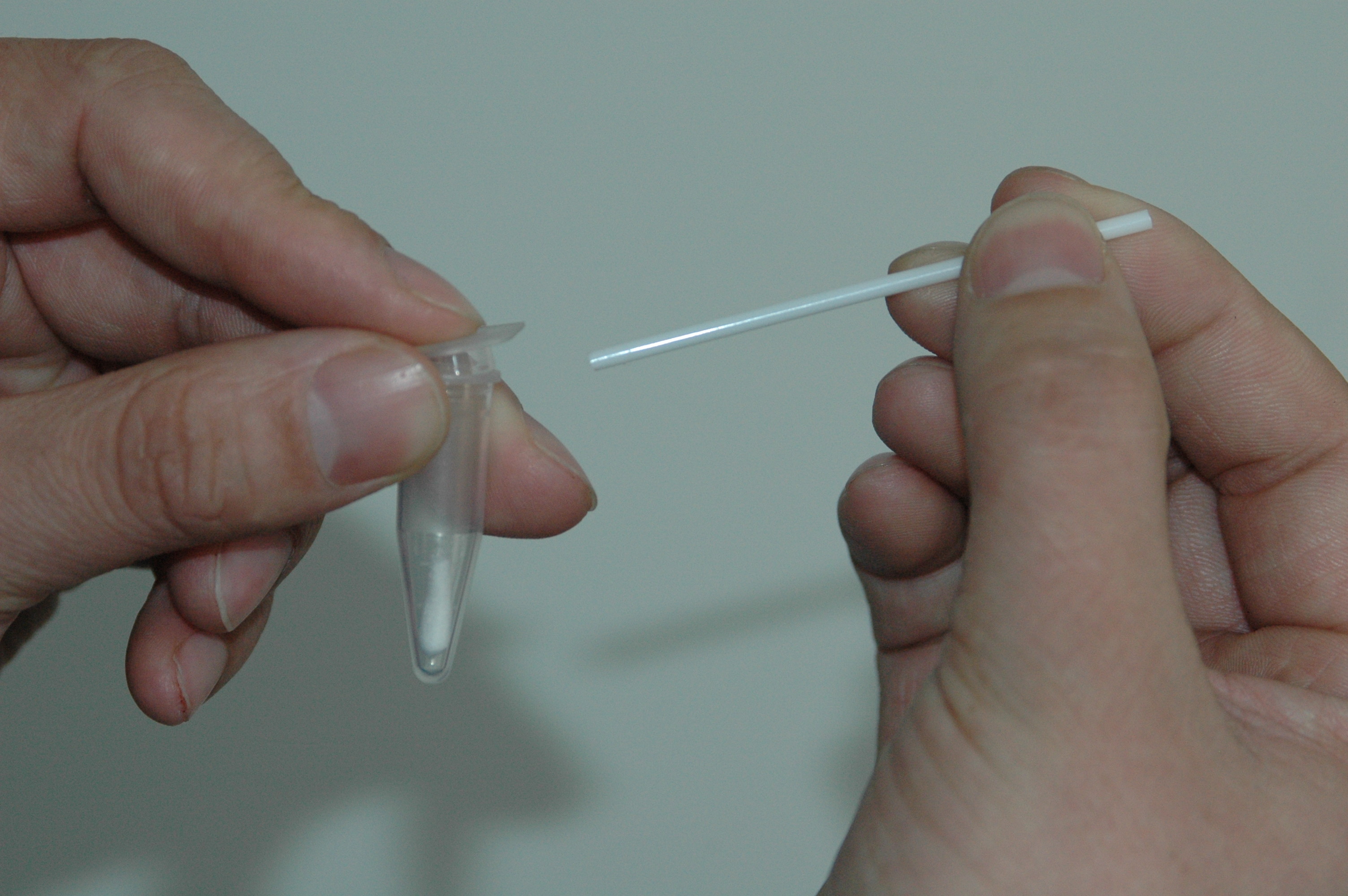 L017 BTMQ-II Sterile cotton DNA lifting applicator swabs with breakable head
