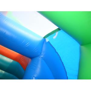Commercial Grade Inflatable Pool Slide with Palm Trees
