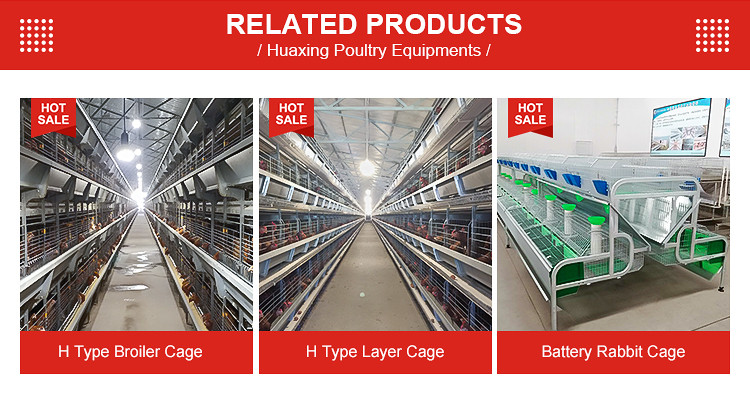 H TYPE LAYER CAGE (11).jpg