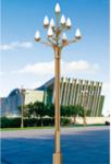 80W-240W Combined lighting rod series LED Pole light Street Lights Outdoor