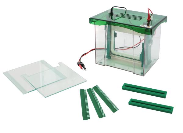 Small Size Polyacrylamide Gel Electrophoresis Machine 1～2 Pieces Gel Amount Jy