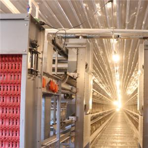 Wholesale Free Layout Design Egg Layer Cage H Type Galvanized from china suppliers
