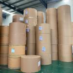 Food Grade Recyclable 250gsm PE Coated Cup Raw Material Kraft Paper Rolls For