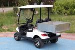 LSV 2 seater Golf Cargo Golf Cart With Rear Box 48 V-72 V New Energy Vehicles