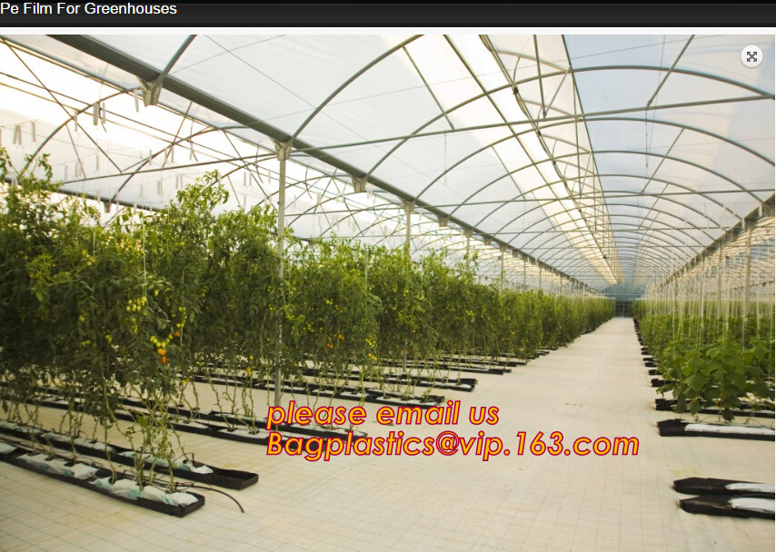 Monofilament Knitted 100% virgin HDPE Material Transparent Anti hail Netting,Polyester fiberglass anti insect net for in