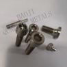 Buy cheap Screw 12.9 Titanium Alloy Bolts , 130mm Titanium Allen Head Bolts Anti Corrosion from wholesalers