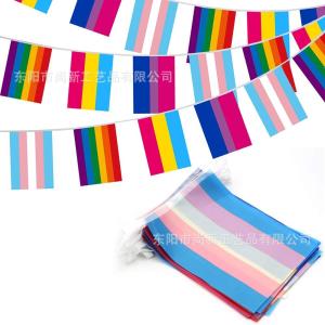 Wholesale Custom Logo Polyester LGBT Flag Lesbian Gay Pride Triangle Flag from china suppliers