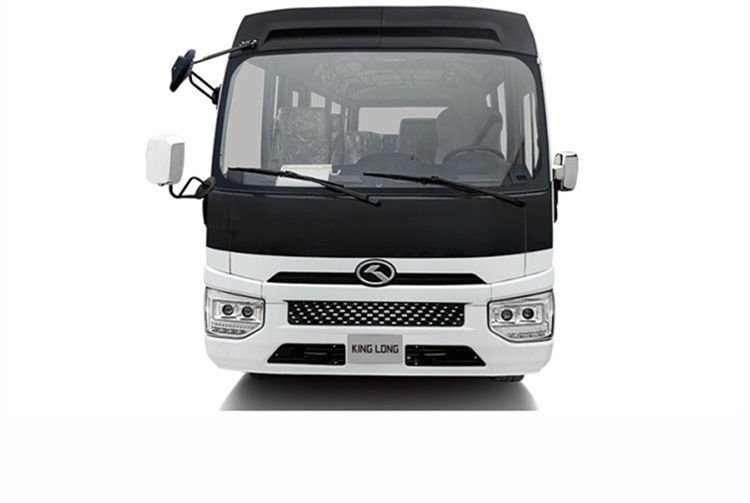 Luxury Diesel Engine 19 Seats Mini Bus Coaster Bus with and Curb Weight of 4100kg