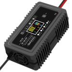 Intelligent Automatic 12V 24V 10A 20A Repair Battery Charger for Electric Tool