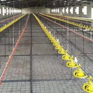 Wholesale 66kg Galvanized Chicken Feeder from china suppliers