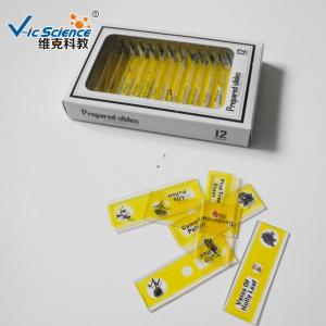 Wholesale Children Plastic Prepared Microscope Slides 12pcs Plant Series VIC59 from china suppliers