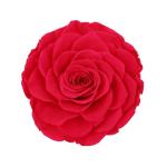 Home Decor Preserved Rose Heads Creative Household Decorative Furnishings