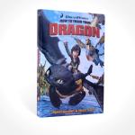 How to Train Your Dragon disney dvd movie children carton dvd with slipcover