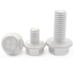 Direct Supply Hot Dip Galvanized HDG Plated Hex Flange Bolt DIN6921 for