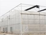 Multi Span Agricultural Film Greenhouse With Super Strong Resistance