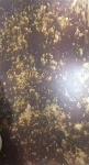 Antique Copper Finish Stainless Steel Plate For Screen Wall Decoration