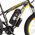 FACTORY 48V 1000W 26 Inch Electric Fat Bike With 21 speed 17.5AH S/\MSUNG