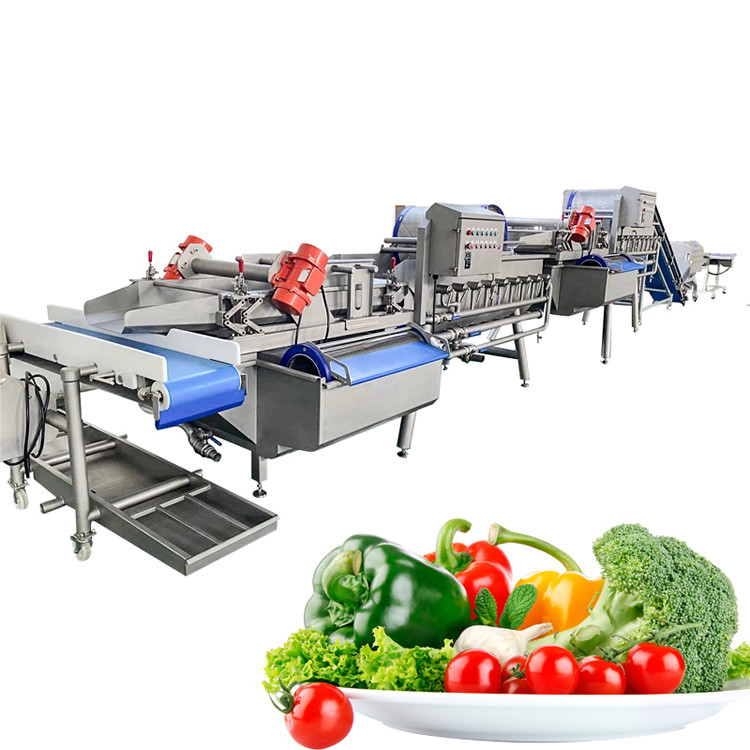 Industrial Fruit Vegetable Processing Machine ozone washing machine