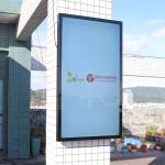 Wall Mounted Waterproof Digital Signage IP66 LCD 55"