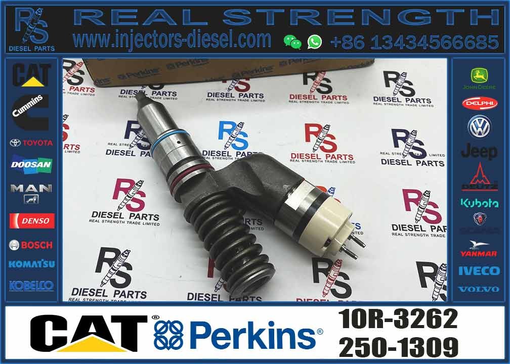 C11/C13 injector diesel fuel injector 249-0712 10R-3147 10R-3262 294-3002 249 -0705 249-0708 1OR-2977
