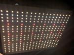 100W 660nm Full Spectrum LED Grow Lights