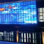 Transparent Led Screen 1000*500 1000*1000 Customize Size Indoor Series Glass