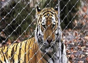 China Weatherproof Bird Enclosure Netting , 316 Stainless Steel Rope Net For Tiger on sale