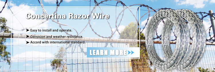 Free Sample Galvanized Concertina Razor Wire Price