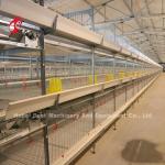 45 Days A H Type Broiler Cage 25 Years Lifespan With Drinkers And Feeders Star