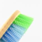 Plastic 15*5.7cm Horse grooming brush products with brush wire in three colors