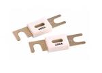 Heavy Duty 200A Automotive Bolt-on Bolt-down Fuse 80V dc For Electric Forklift
