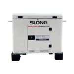 5 - 17kw Dual Fuel CNG Generator Set Silent Inverter LPG Generator Household