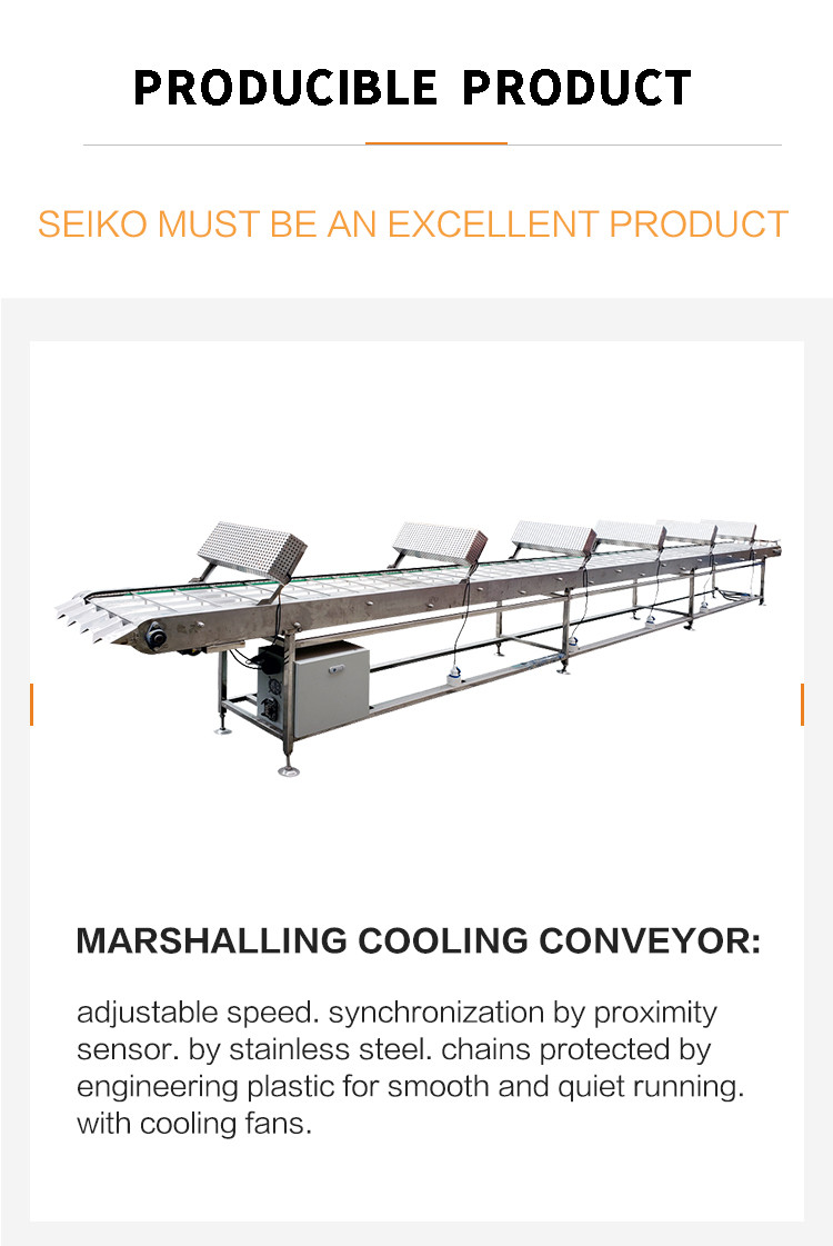 Stainless Steel Food Conveyor Belt With Marshalling Cooling Function