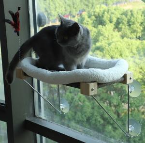 Wholesale Safety Cat Shelves Space Saving Window Mounted Large Cats Seat from china suppliers