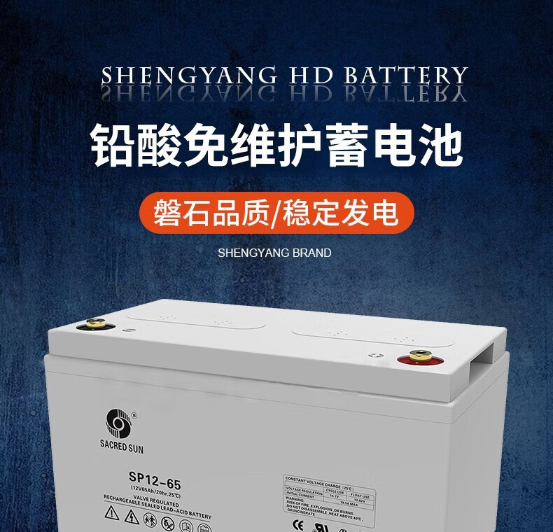 330mm Length Sacred Sun Sealed SP12-100 Lead Acid Battery 12V100Ah for UPS Power System