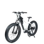 City Bicycle Domanca 48V 500W/750W/1000W Bafang Motor Full Suspension Ebike